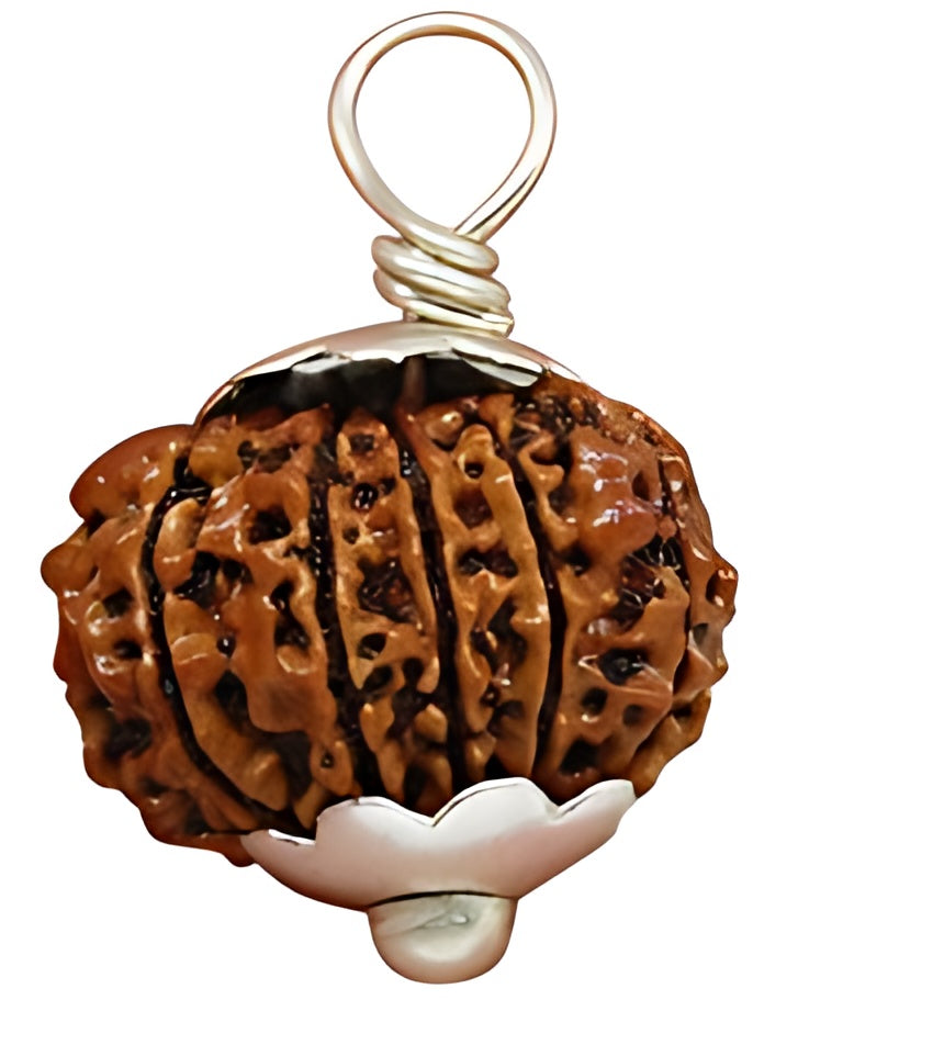 12 Mukhi Nepali Rudraksha Pendant