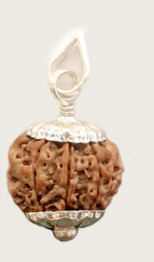 7 Mukhi Nepali Rudraksha Pendant