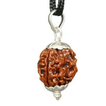 3 Mukhi Nepali Rudraksha Pendant
