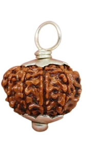 9 Mukhi Nepali Rudraksha Pendant