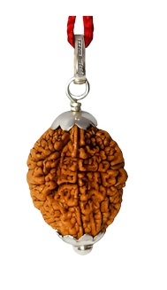 2 Mukhi Nepali Rudraksha Pendant