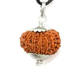 14 Mukhi Rudraksha Pendant