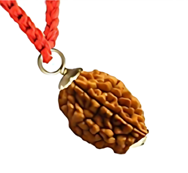 2 Mukhi Nepali Rudraksha Pendant