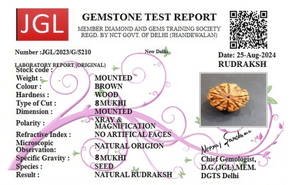 8 Mukhi Nepali Rudraksha