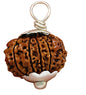 12 Mukhi Nepali Rudraksha Pendant