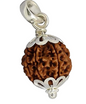7 Mukhi Nepali Rudraksha Pendant